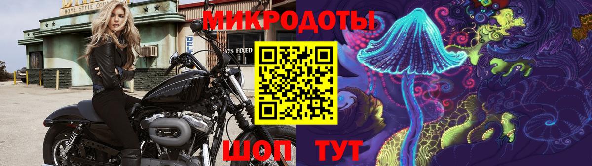 Псилоцибиновые грибы мицелий  Вход с VPN  Ялуторовск 
